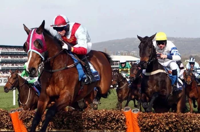 Mastering Trifecta Betting: Strategies for Success Mastering Trifecta Betting: Strategies for Success