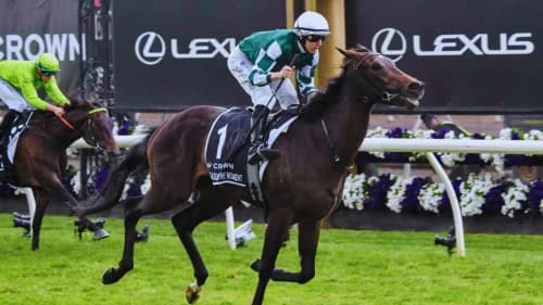 Mastering Head-to-Head Betting in Horse Racing Mastering Head-to-Head Betting in Horse Racing