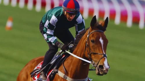 The Thrill of Betting on Longshots in Horse Racing The Thrill of Betting on Longshots in Horse Racing